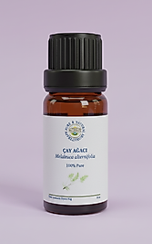 ÇAY AĞACI (Melaleuca alternifolia)